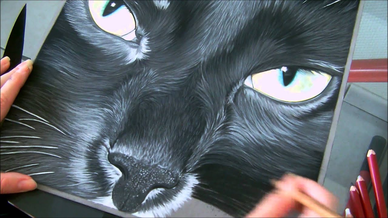 Aperçu  : Technique poils aux pastels secs