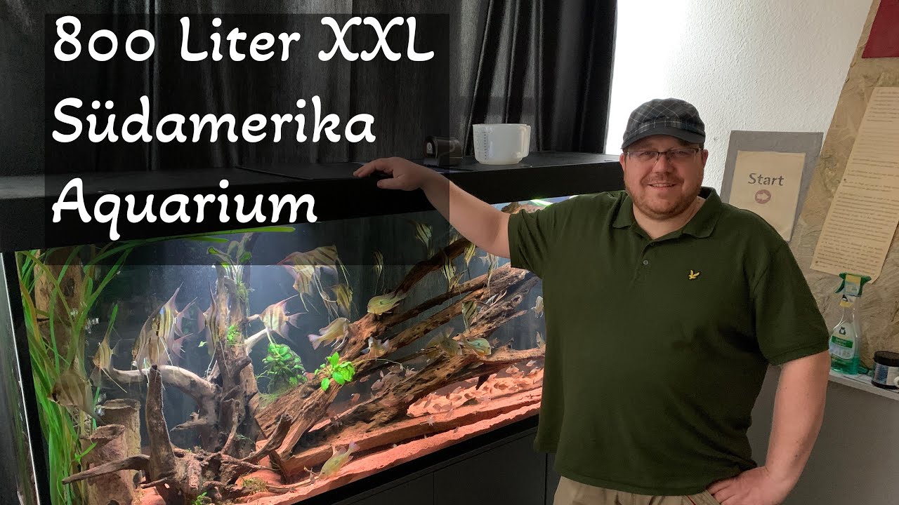 800 Liter XXL Biotop Aquarium