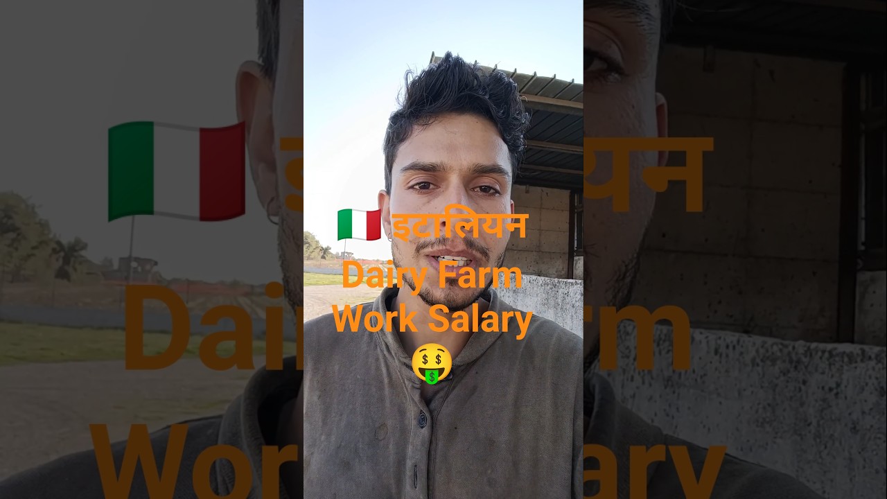 🇮🇹Italian Dairy Farm Work Salary🤑
