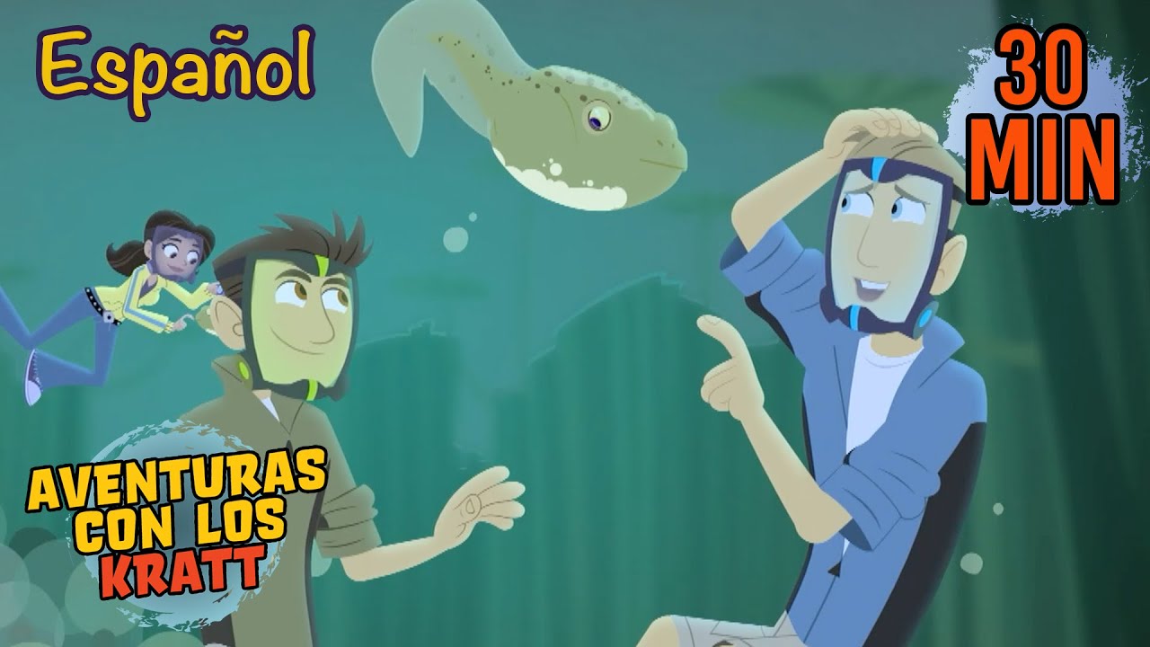 Competencia Acuática | Ejercicio y Animales de Agua | Aventuras con los Kratt