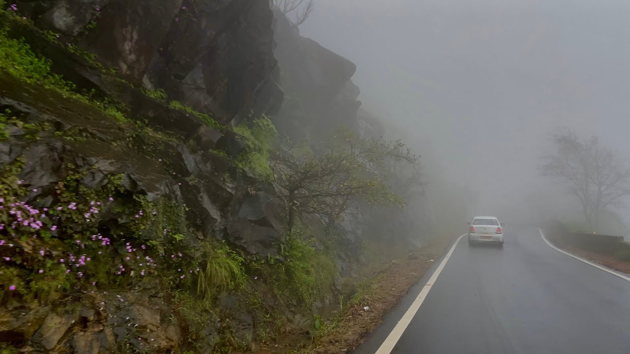 Charmadi Ghat | Horanadu | Monsoon Road Trip [4K]