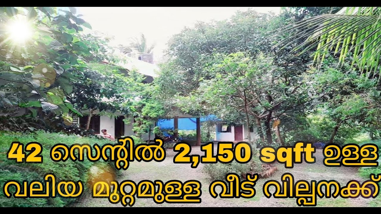#house #for #sale