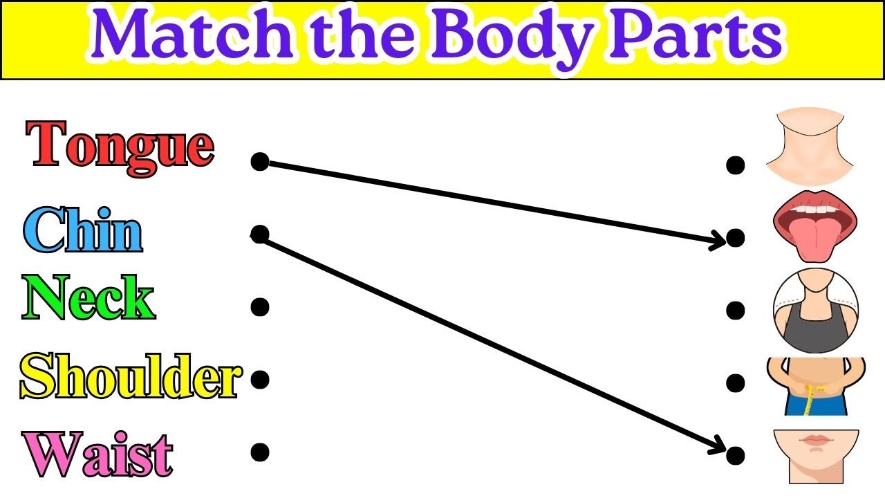 Match the Body Parts | Parts of the Body| Body Parts name| Matching Game for Kids| Early Learning