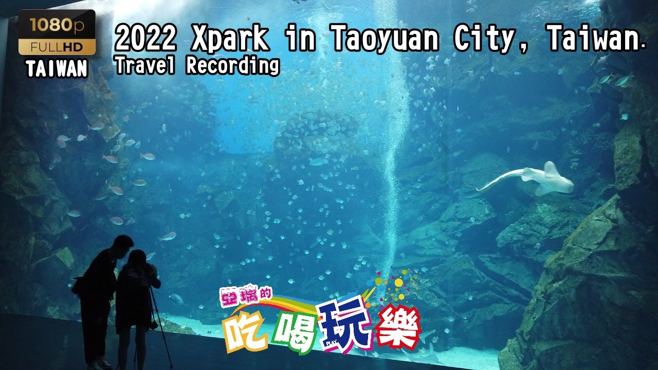 【亞璃的吃喝玩樂】台灣的室內最大缸 Xpark攝影出遊 1080P Xpark 桃園觀光 台灣觀光 北部觀光 台灣旅遊 台灣景點【亞璃出遊記】 | 《Xpark水族館》 | 2022.2.18.