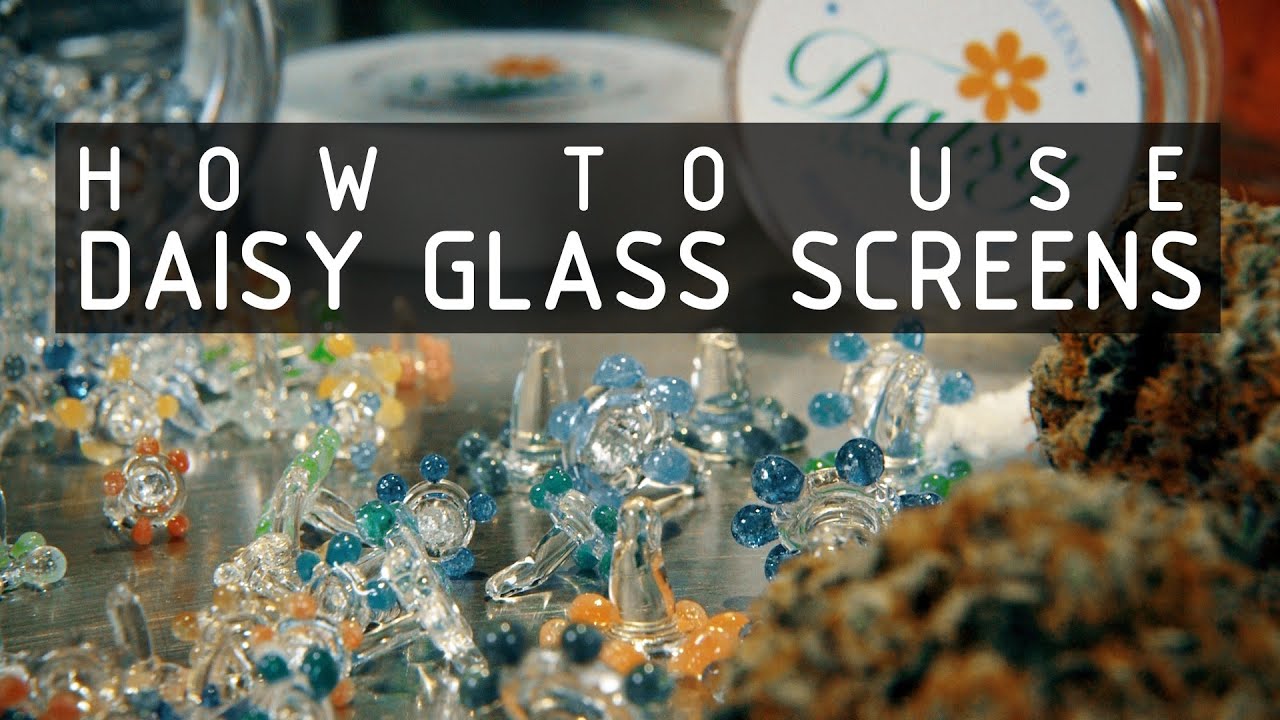 How To Use Daisy Glass Screens (Keep your bong/ pipe clean) - Cannabasics #118