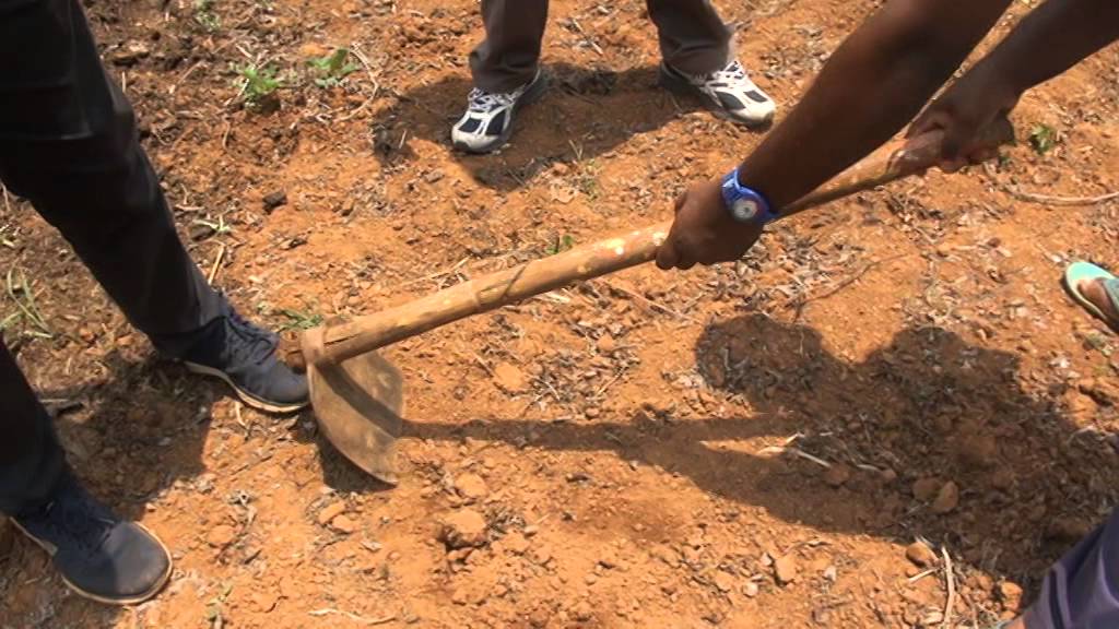 How to take soil sample by V method