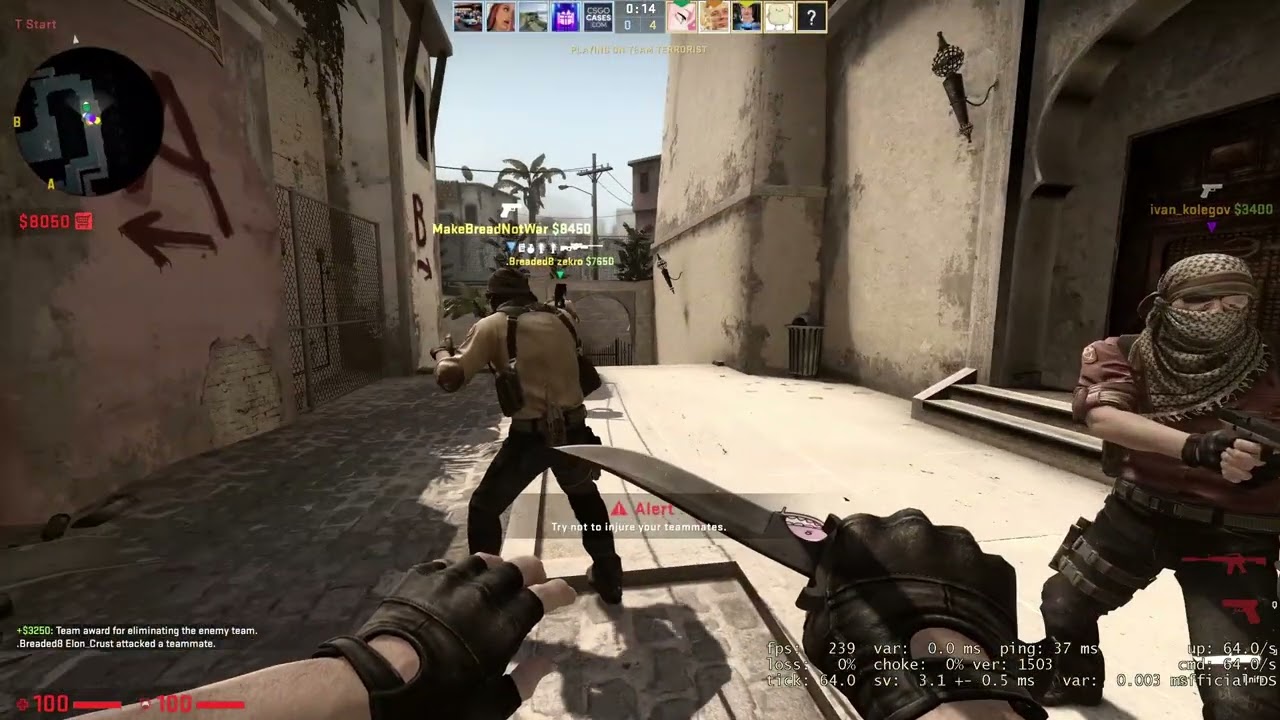 Trash Gaming - CSGO #33 [GER]