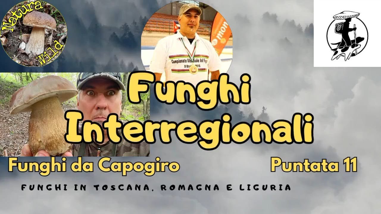 Funghi da capogiro - Funghi interregionali puntata 11
