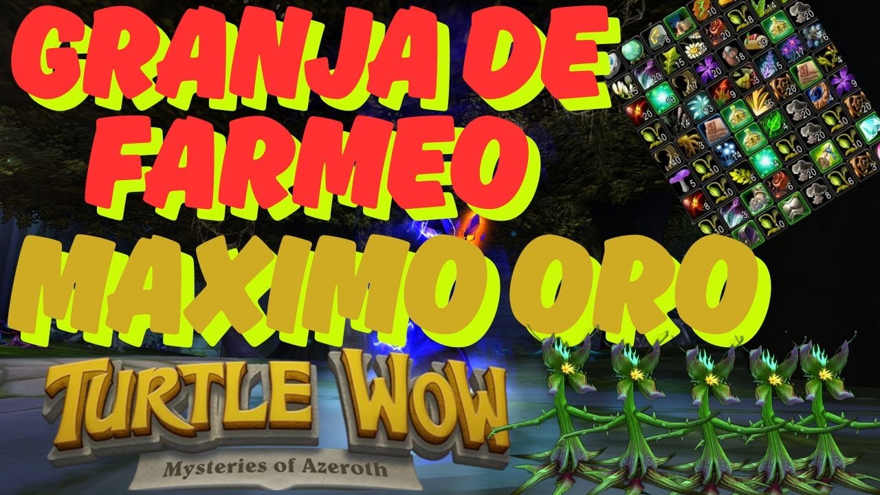 TURTLE WOW EL MEJOR FARMEO DM