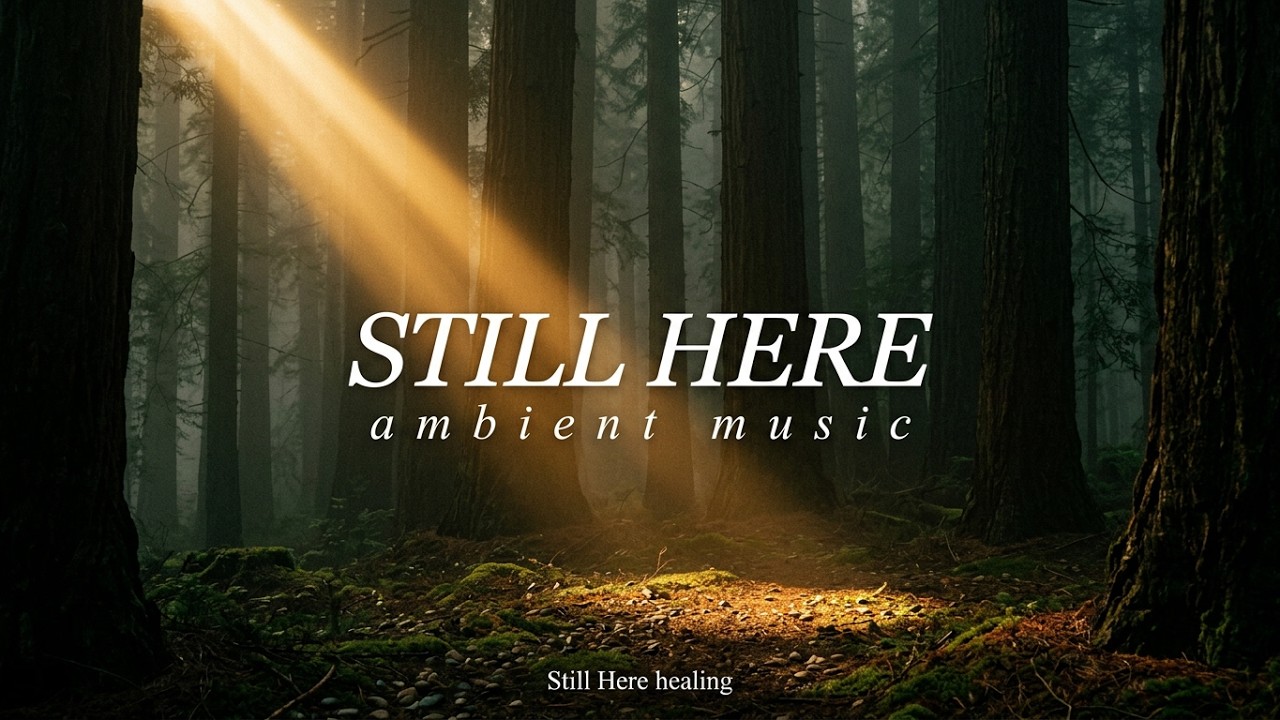 하루 끝, 따뜻한 숨결 | warm breaths | STILL HERE Healing - Staying Calm in Ordinary Moments