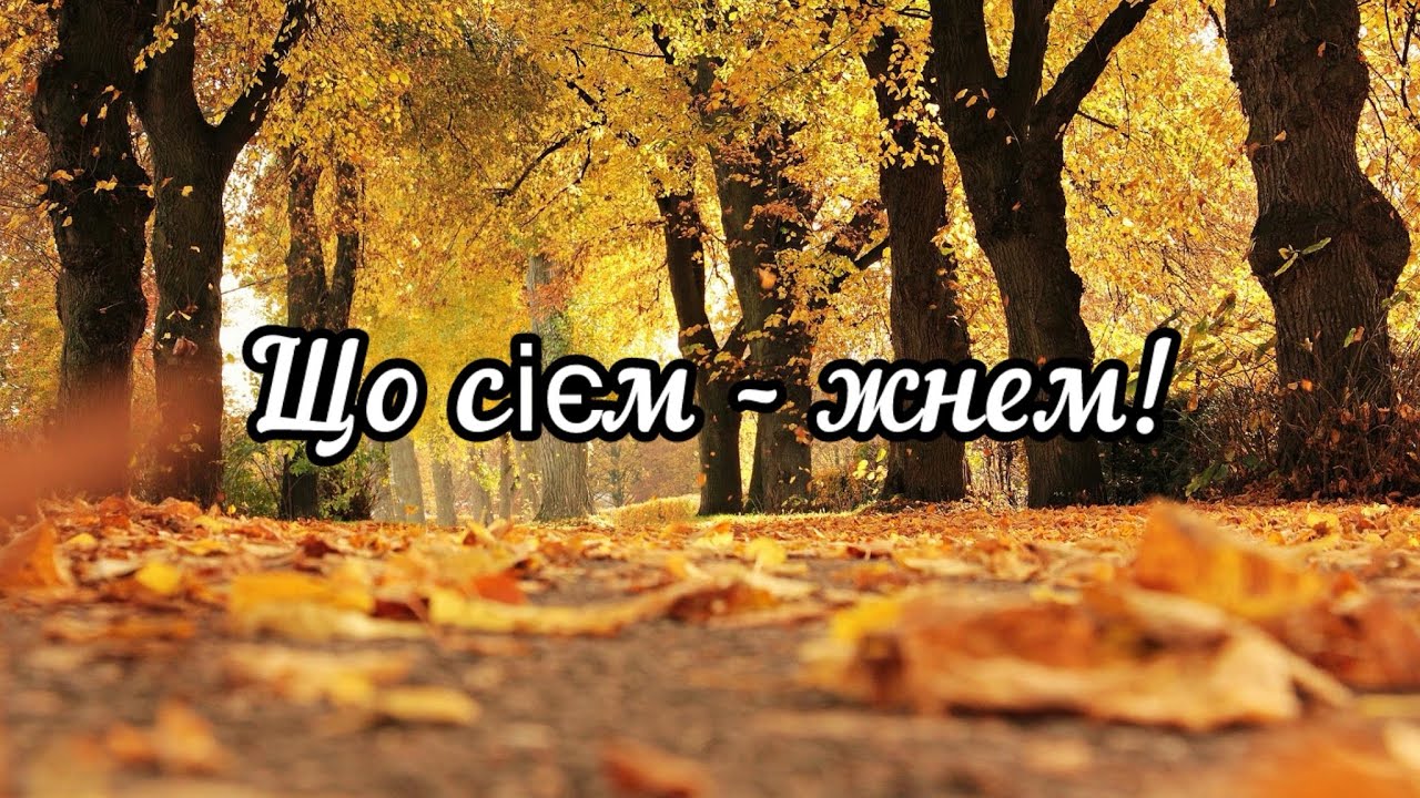 Християнський вірш на свято подяки /ЖАТВА/ Автор Ольга Фабін