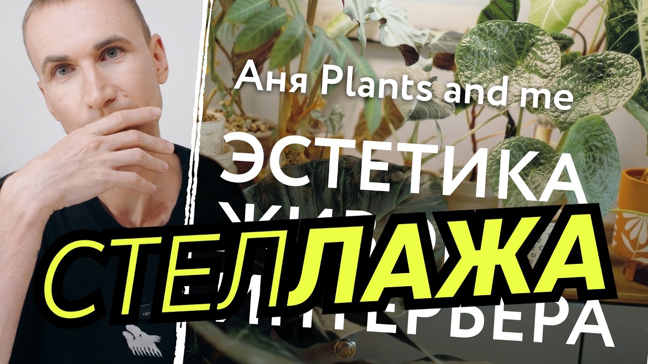 ПОЛКА &mdash; НЕ ИНТЕРЬЕР | Разбор книги &laquo;Эстетика живого интерьера&raquo; | Книжный сорняк N&deg;6