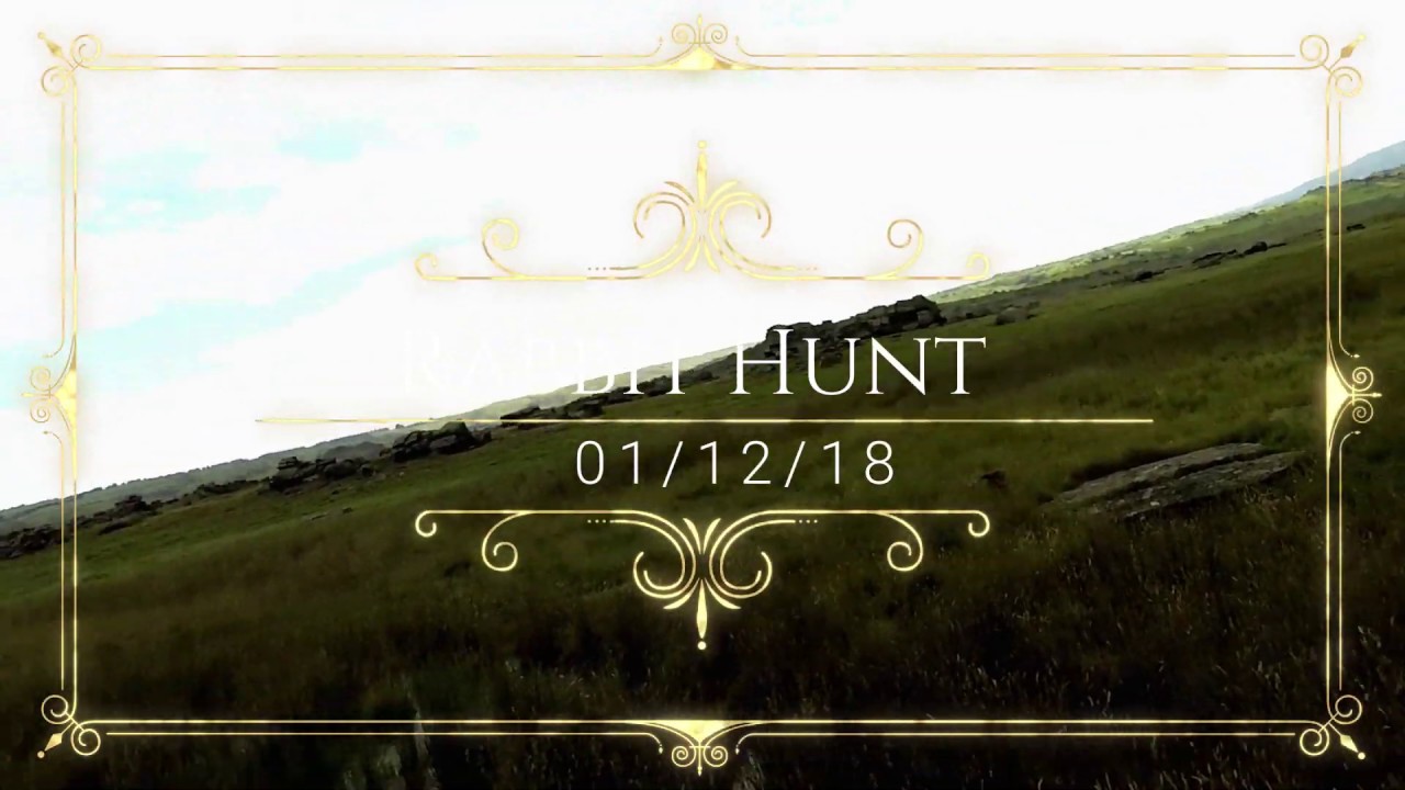 Rabbit Hunt 01 12 18