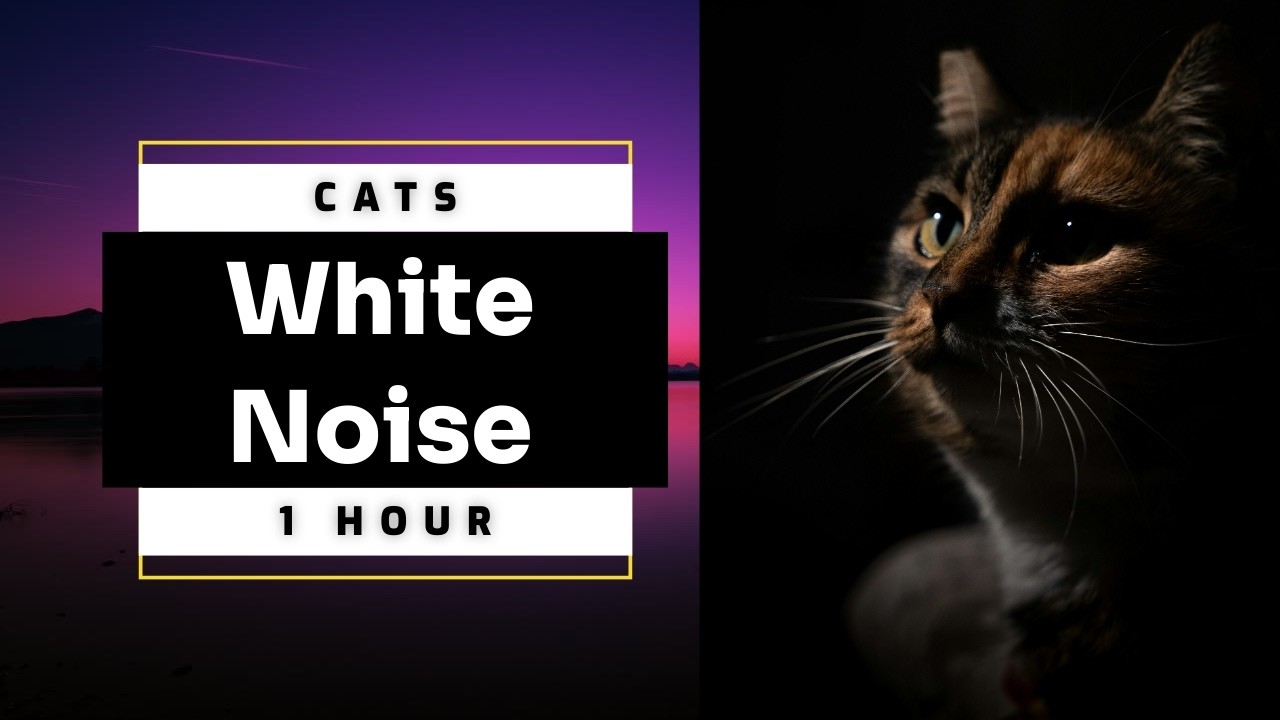 White Noise For Cats - Relaxation, Deep Sleep.