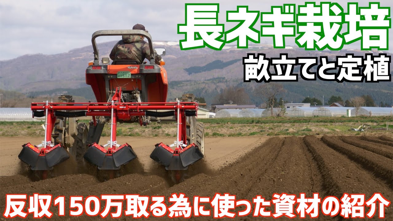 【反収150万〜200万】収量を上げるために使った資材の紹介。長ネギ栽培のビークルを使った畝立てとひっぱりくんで定植。