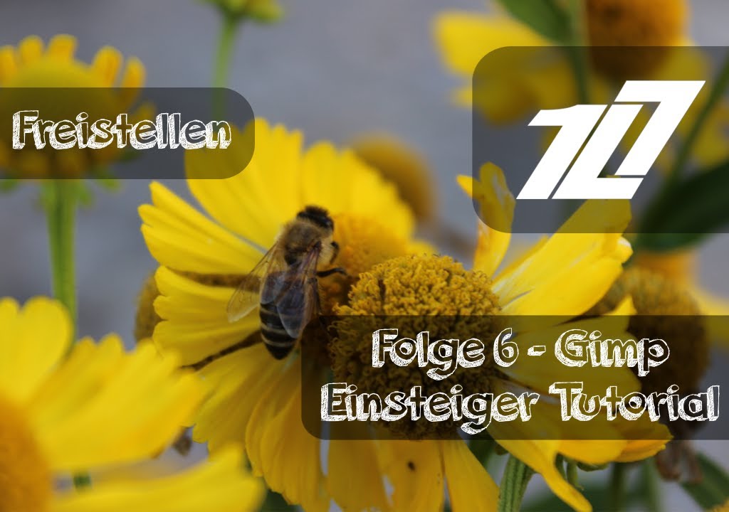 GIMP 2.8 Einsteiger Tutorial - Folge 6 Freistellen [Deutsch/German] | HD