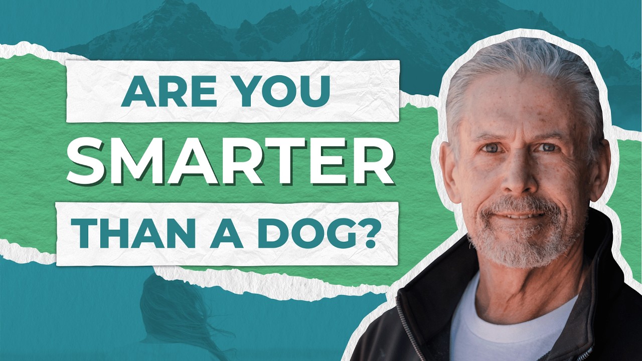Are you smarter than a dog?