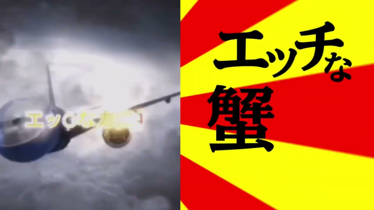 ノリノリなカニ 4選