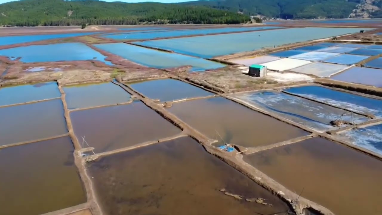 Bucalemu y lo Valdivia 