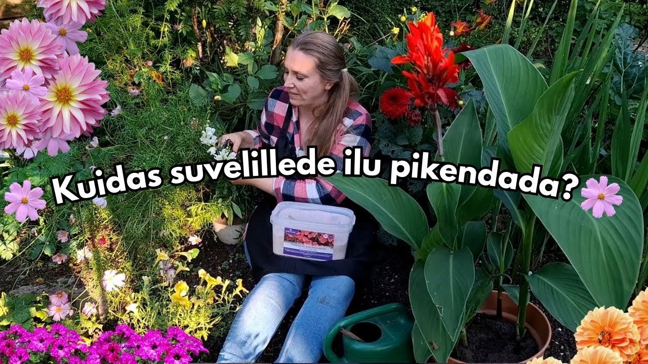Suvelillede ilu pikendamine 🌸|| Vanade õite kärpimine, väetamine, kastmine jpm