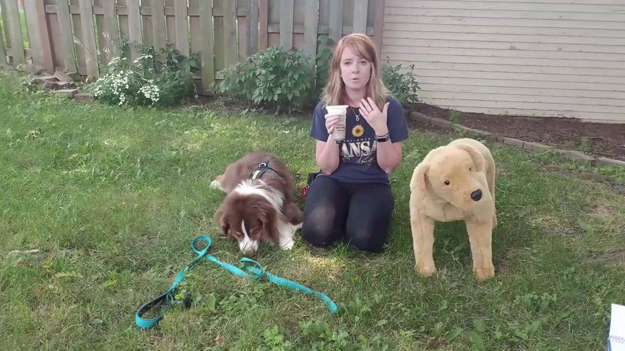 Engage Disengage Tutorial