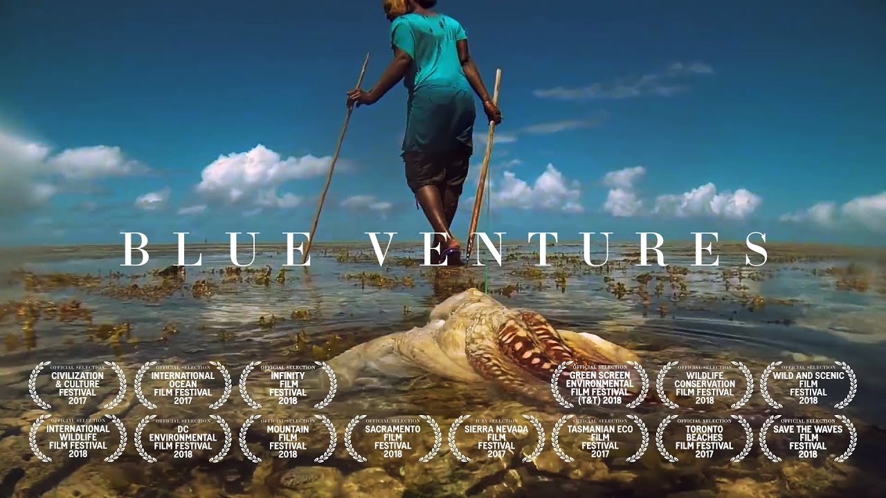 Blue Ventures Conservation | Премия Сколла за социальное предпринимательство 2015 года