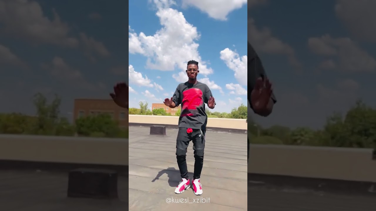 KING PALUTA - ASEDA GOT LOVE IN SOUTH AFRICA🇿🇦- OFFICIAL DANCE VIDEO BY KWESI XZIBIT🇬🇭