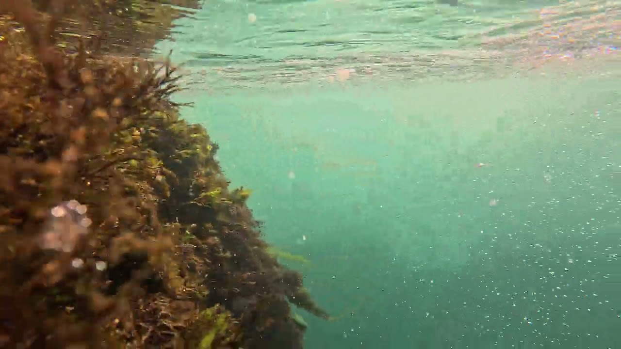 Tajni svijet ispod površine▪︎GoPro underwater adventure▪︎Una