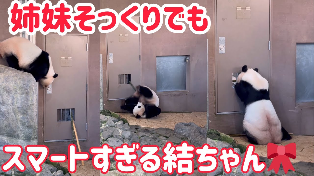 結ちゃん🎀楓ちゃんと同じ動き？姉妹の行動が可愛い