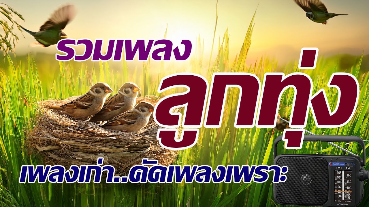 รวมเพลงลูกทุ่งเพลงเก่าเพลงฮิตฟังสบาย