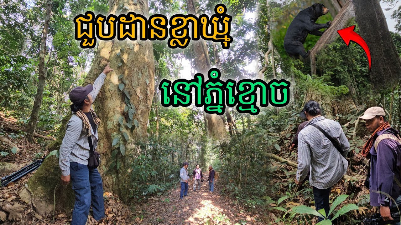 ជួបដានខ្លាឃ្មុំនៅភ្នំខ្មោច