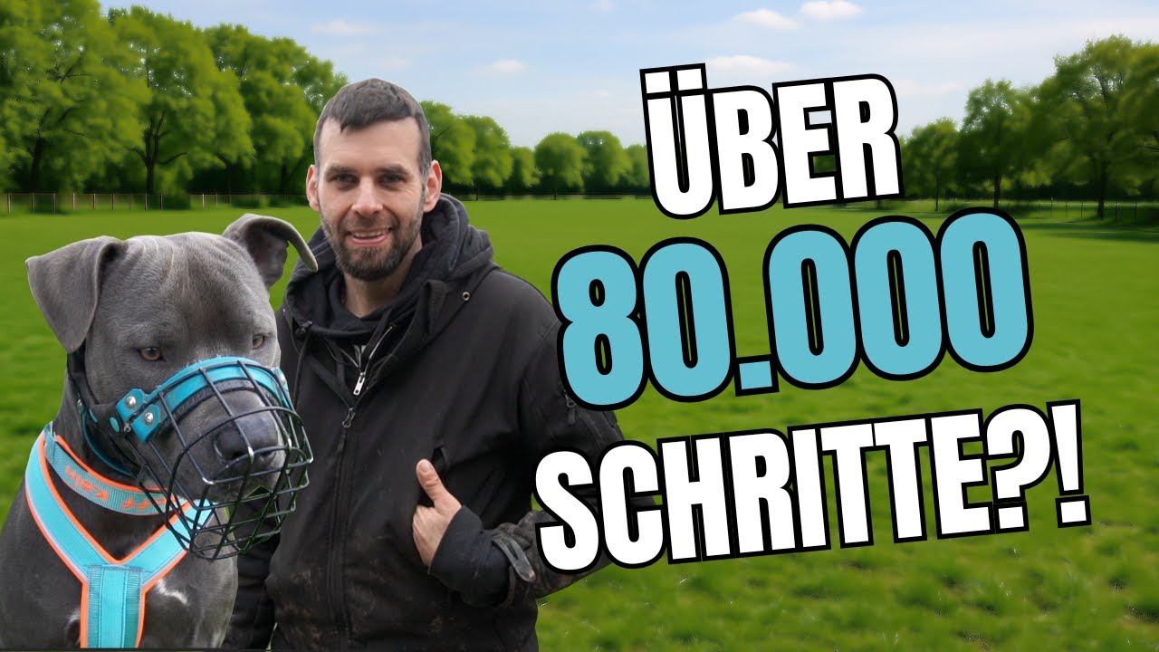 Sein Leben sind die Hunde - Mit Leidenschaft im Tierschutz