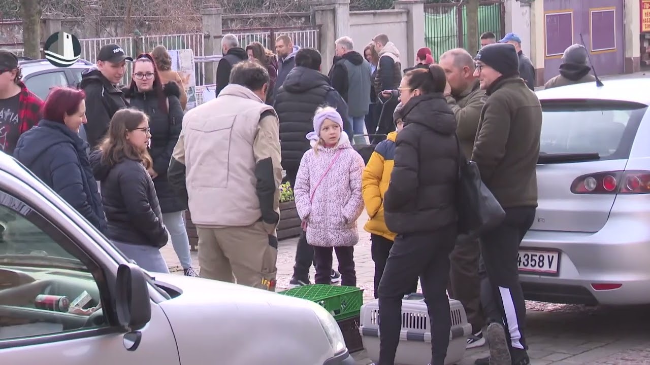 Vasárnap szervezik meg az első vásárt