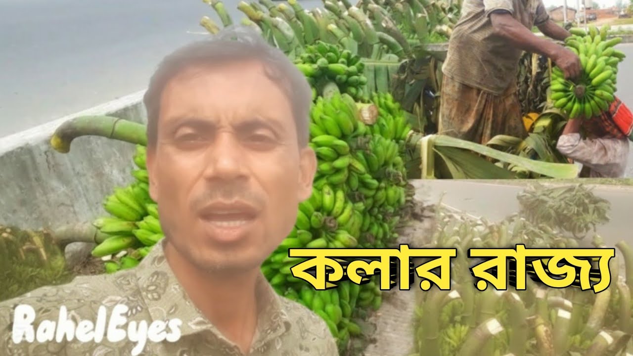 দিনে বিক্রি হয় হাজার হাজার কলা! চন্ডিহারা কলা বাজার, বগুড়া | Real Banana Business in Bangladesh 
