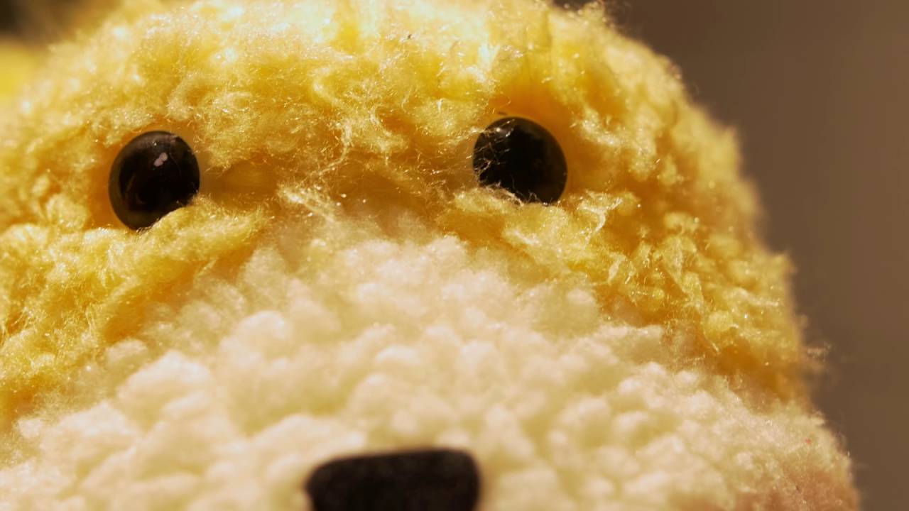 Der gelbe Erich hat nur noch 5 Tage Zeit...
