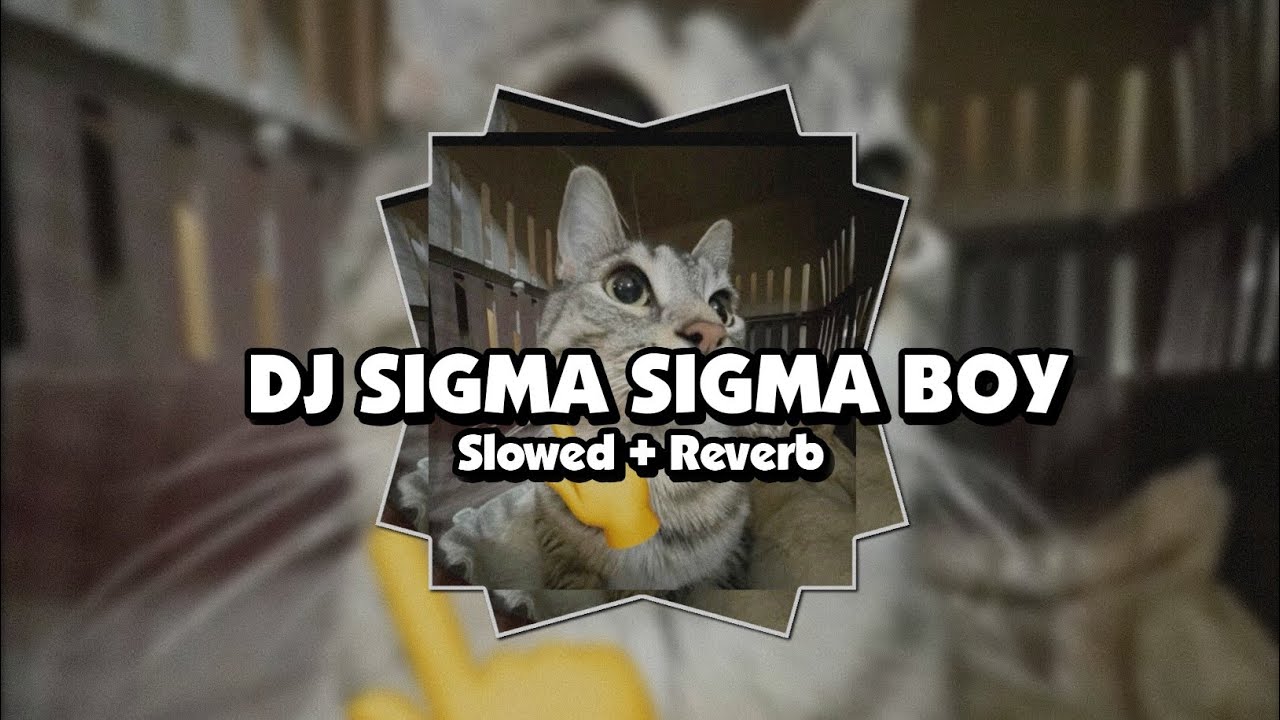 DJ SIGMA SIGMA BOY (Slowed + Reverb) 🎧