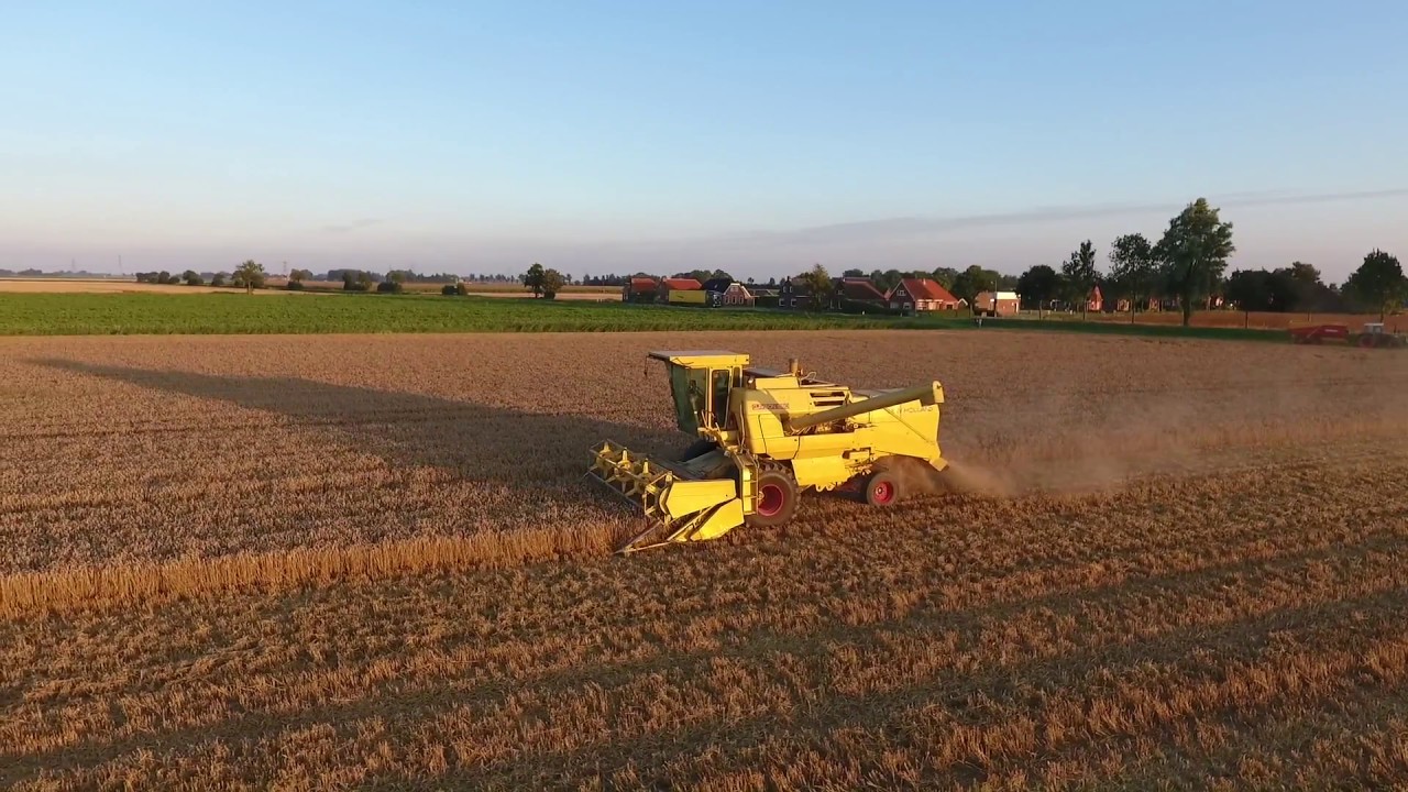 Graan oogst - Elema Oudeschip - New Holland Clayson 1550
