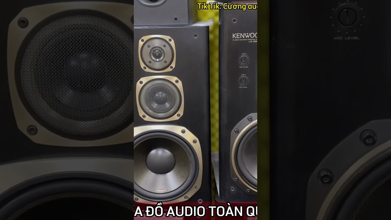 Nhược điểm đ&aacute;ng gh&eacute;t của loa Diatone Nhật, bạn phải biết