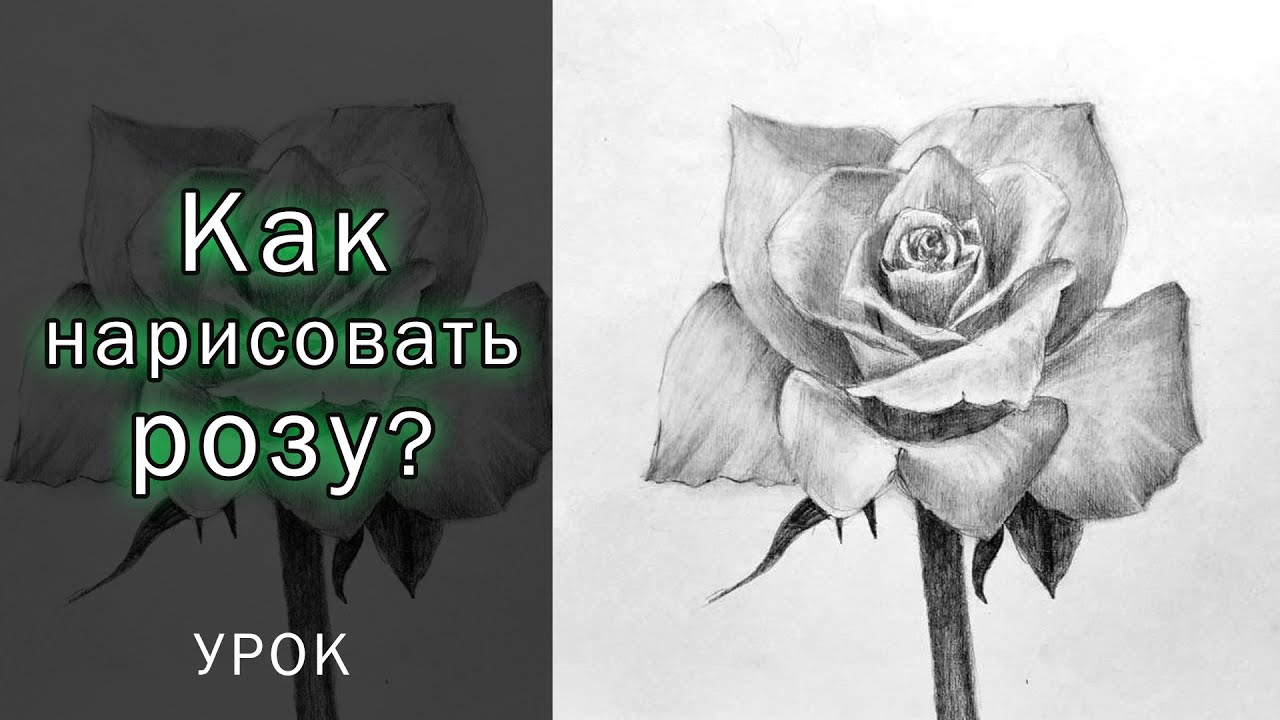 КАК НАРИСОВАТЬ РОЗУ простыми карандашами. Обучающий урок