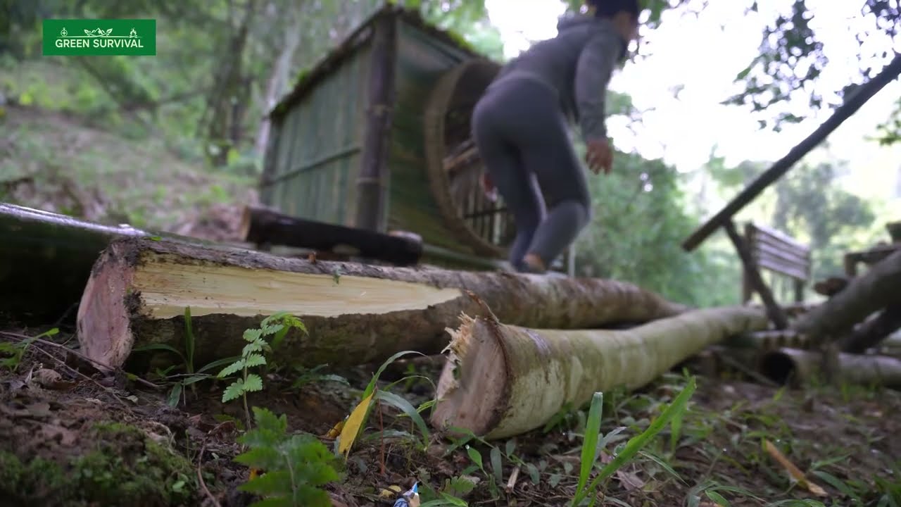 Young Girl’s Solo Survival Journey | Building a Shelter in the Wilderness