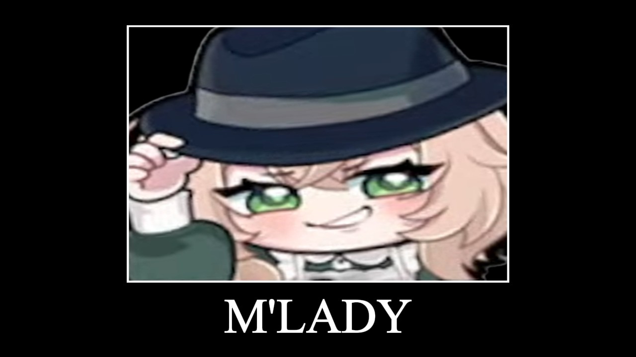 Nimi the ultimate redditor in her natural habitat