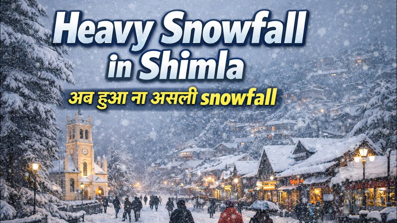 Heavy Snowfall in Shimla | Shimla Snowfall today | Shimla weather today | Kufri | Shimla today