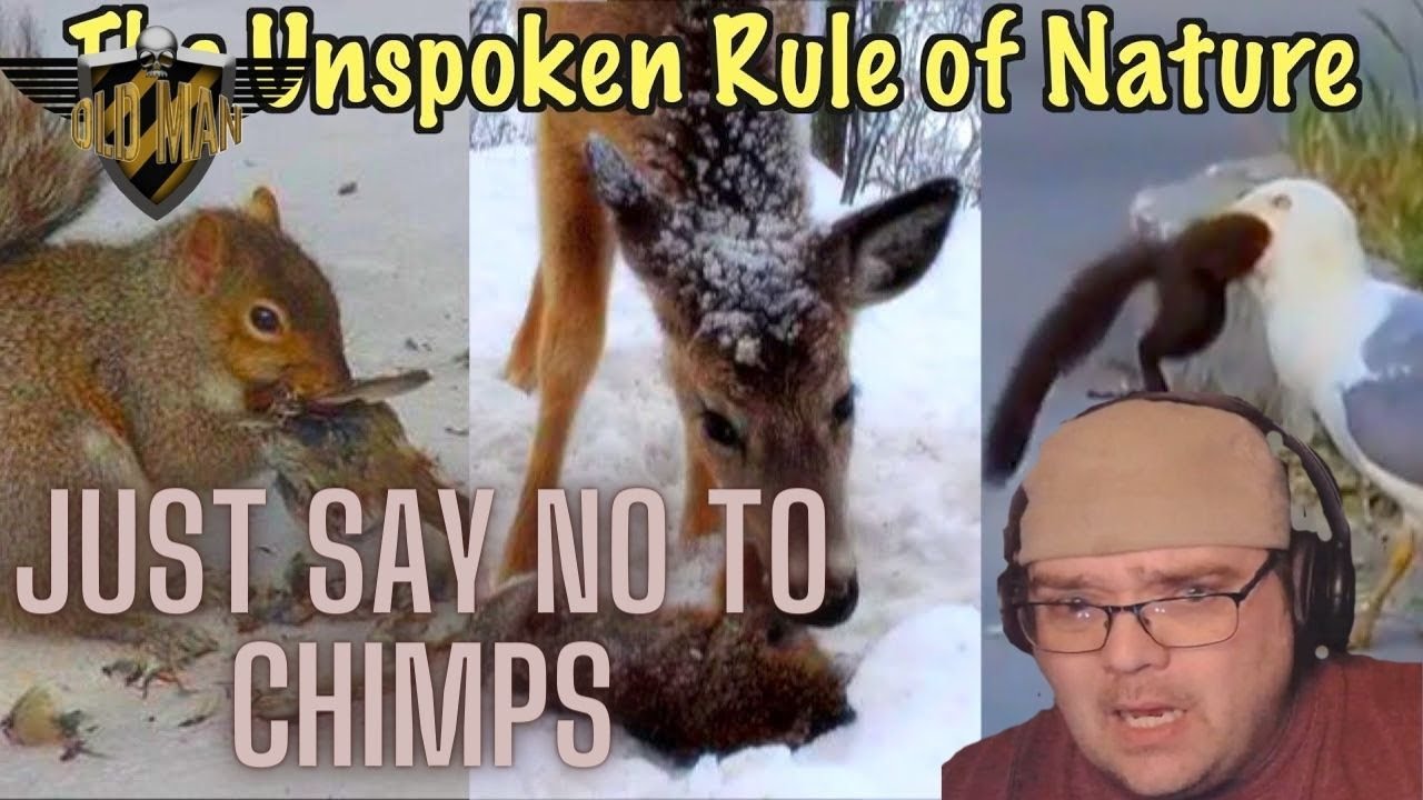 The One Rule of Nature School Never Taught You by Casual Geographic - Reaction