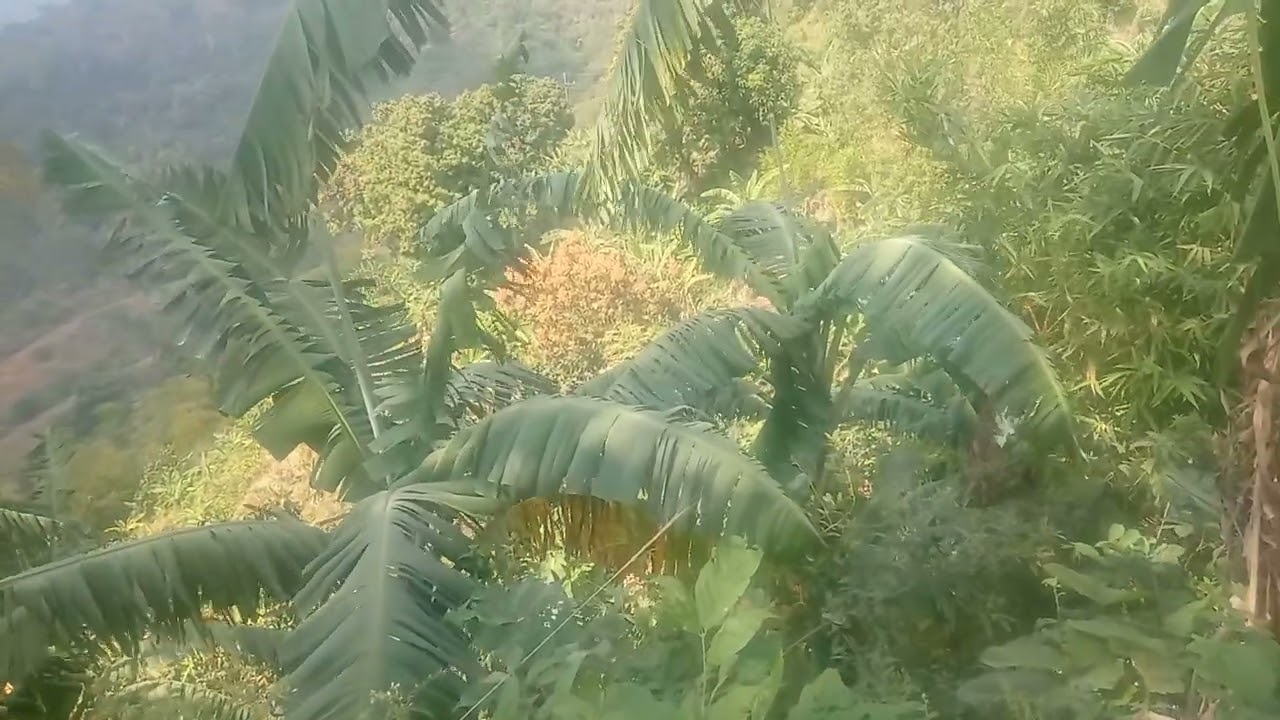 Que lindo lugar donde yeyzon anda vean el paisaje 