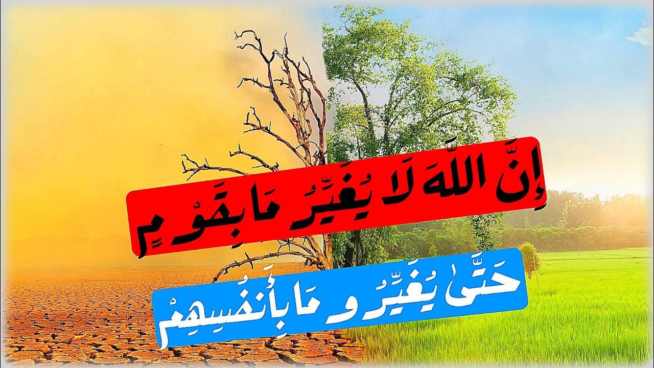 لماذا لا تتحسن حياتك رغم سعيك؟
