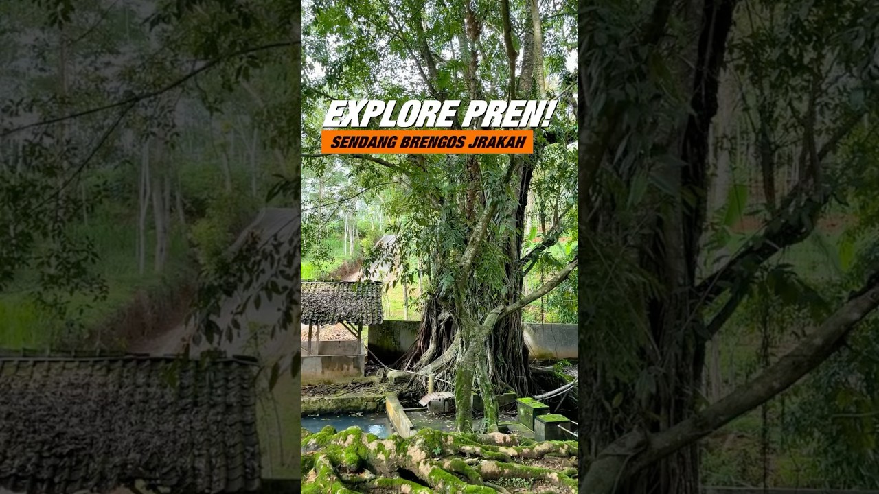 Explore Jrakah Delingan Karanganyar #karanganyar #wisatakaranganyar