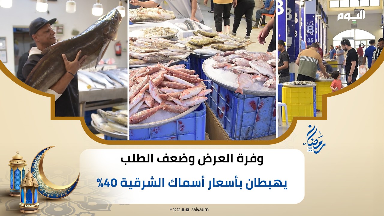 وفرة العرض وضعف الطلب يهبطان بأسعار أسماك الشرقية 40%