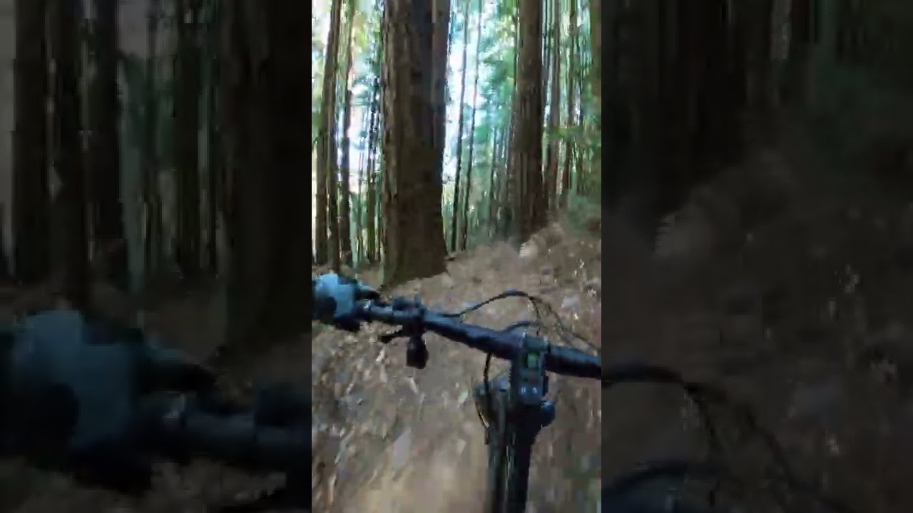 UCSC MTB Double Secret Probation