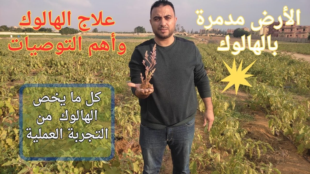 الهالوك|الناشط الزراعي