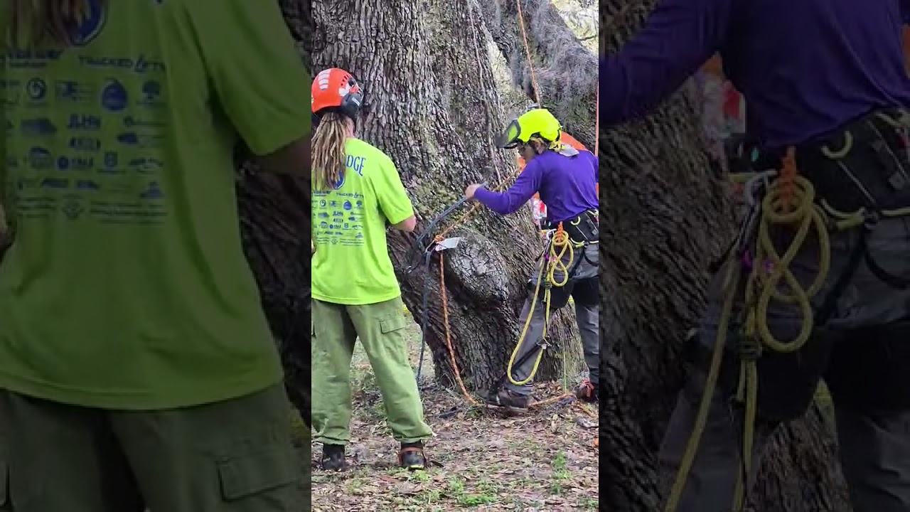 Nathan Crabtree Fl. 26 aerial rescue. 